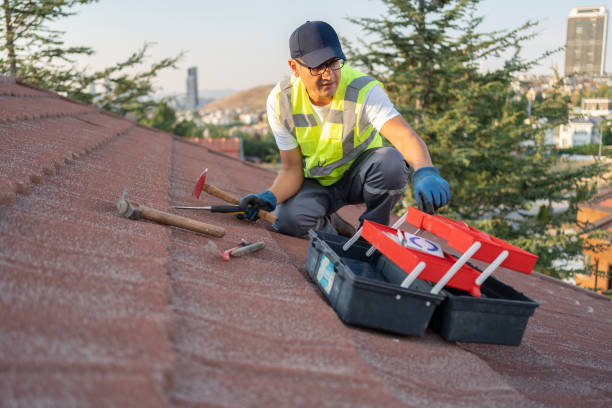 Best Hoarding Cleanup  in Albertson, NY